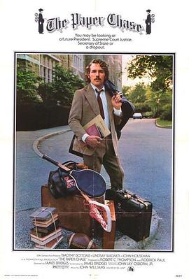 专业的seo优化公司